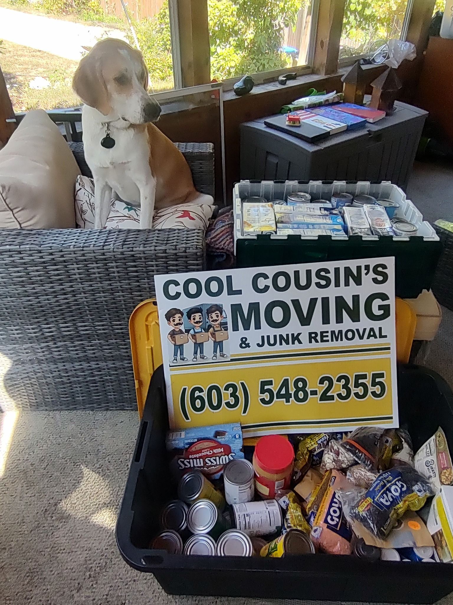 Dog sitting on couch beside a Cool Cousin’s Moving sign and boxes in a living room