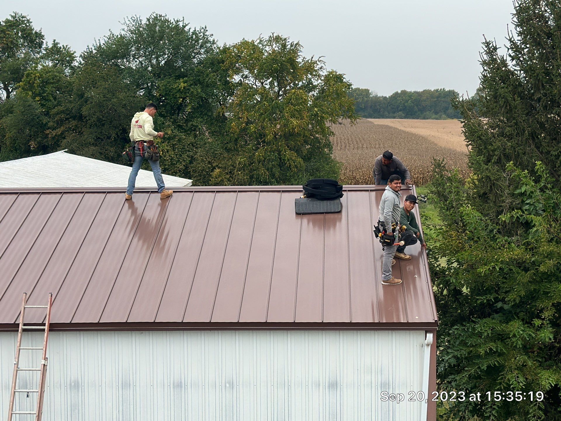 Workers on a brown metal roof, cleaning or repairing it beside trees and a white outbuilding.