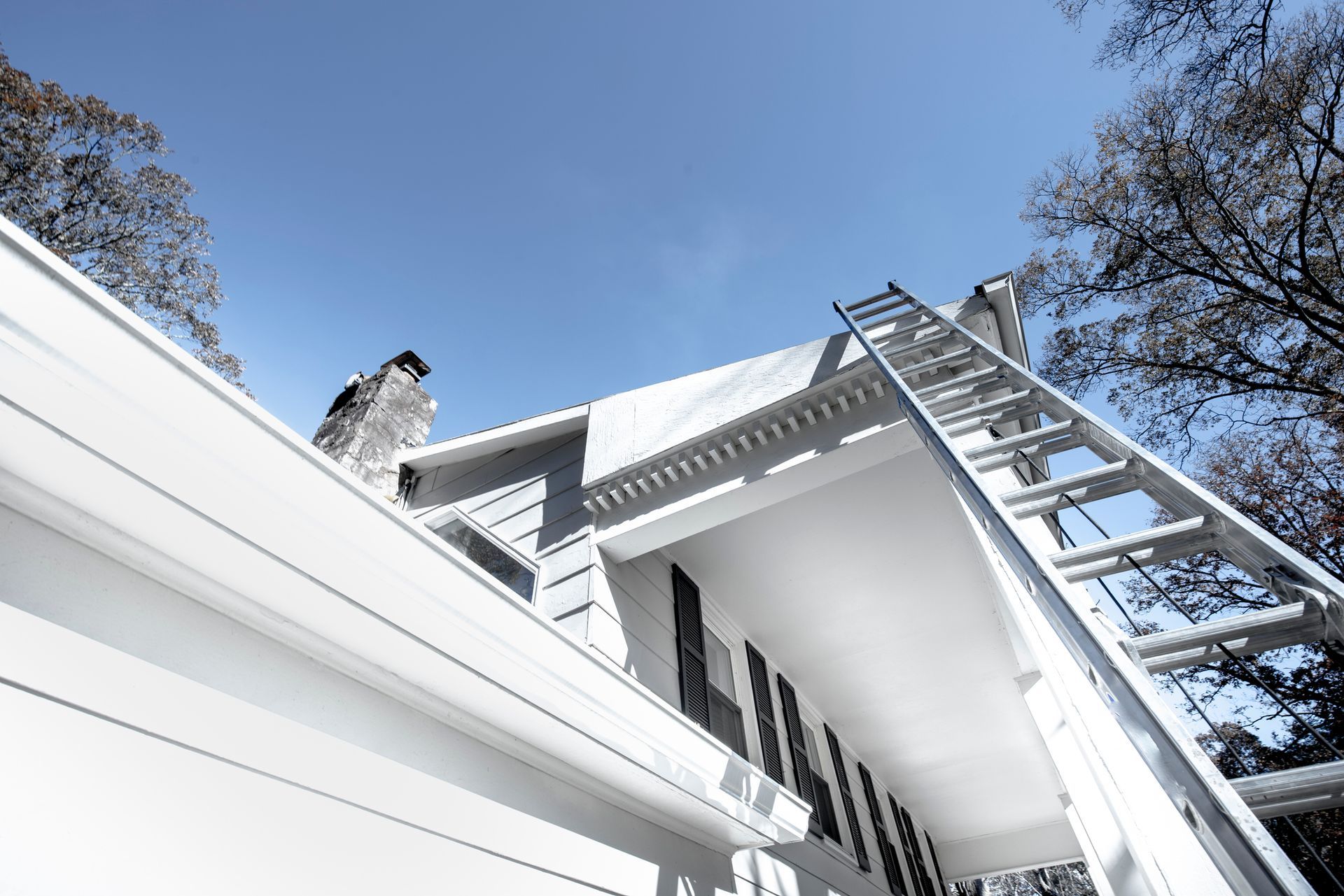 Ladder leaning against a white house roof under a blue sky, with bare tree branches overhead