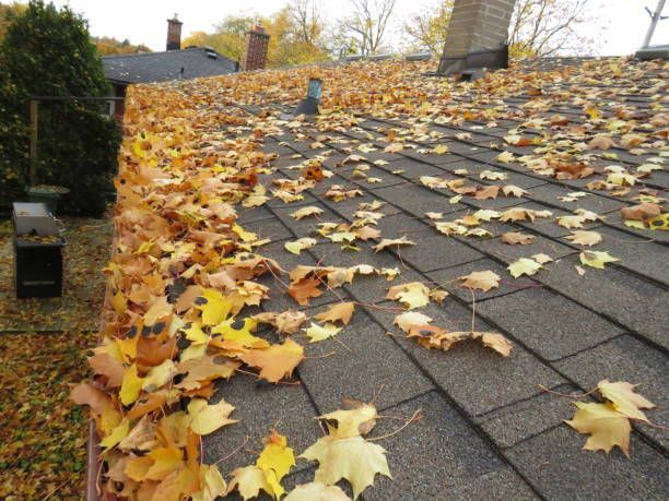Roof covered with fallen yellow leaves near a hedge and chimney on an overcast day