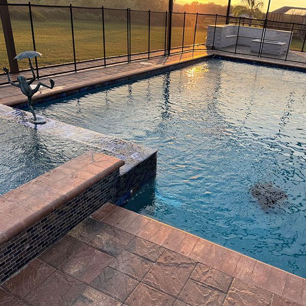 Backyard swimming pool at sunset with tiled deck and screened fence around it