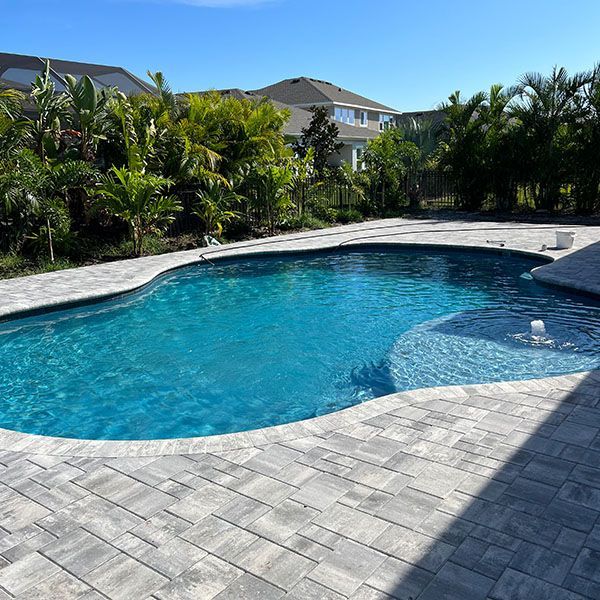Backyard pool with blue water, gray pavers, and tropical landscaping under a clear sky