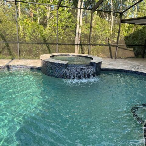 Backyard pool with a bubbling circular spa and screened enclosure surrounded by lush greenery