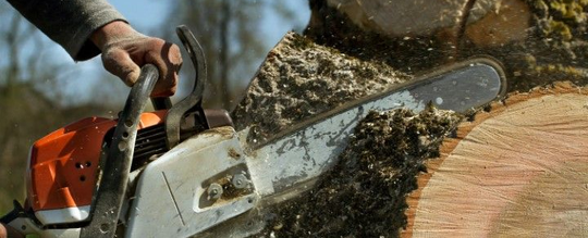 Hand holding chain saw