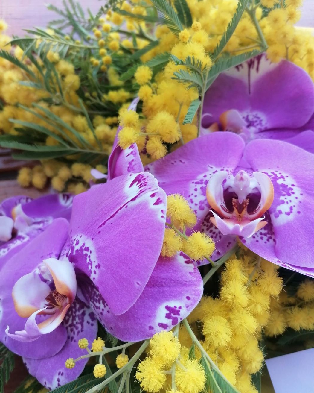 Orchidee viola e fiori di mimosa gialla in una composizione floreale ravvicinata