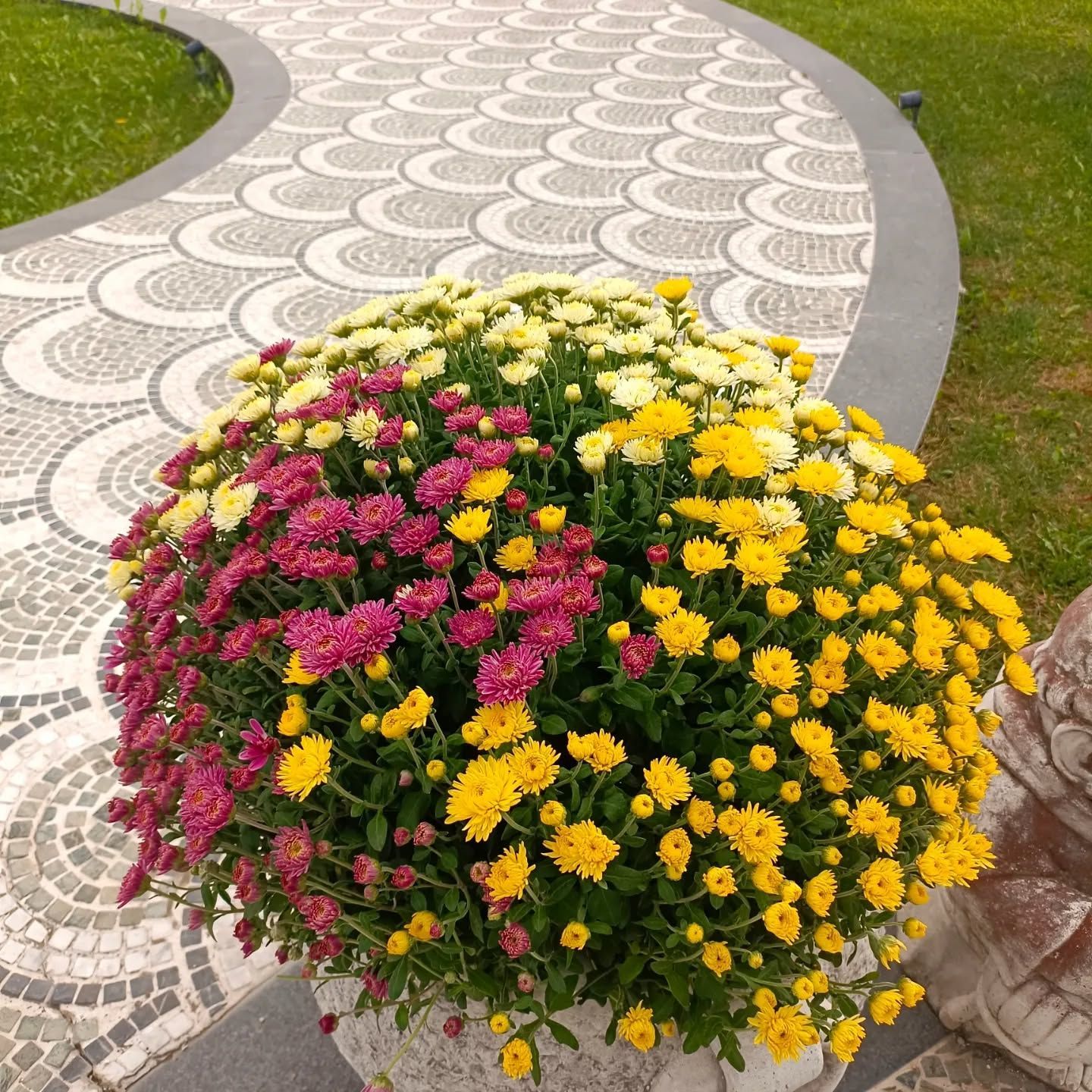 garden iobbi