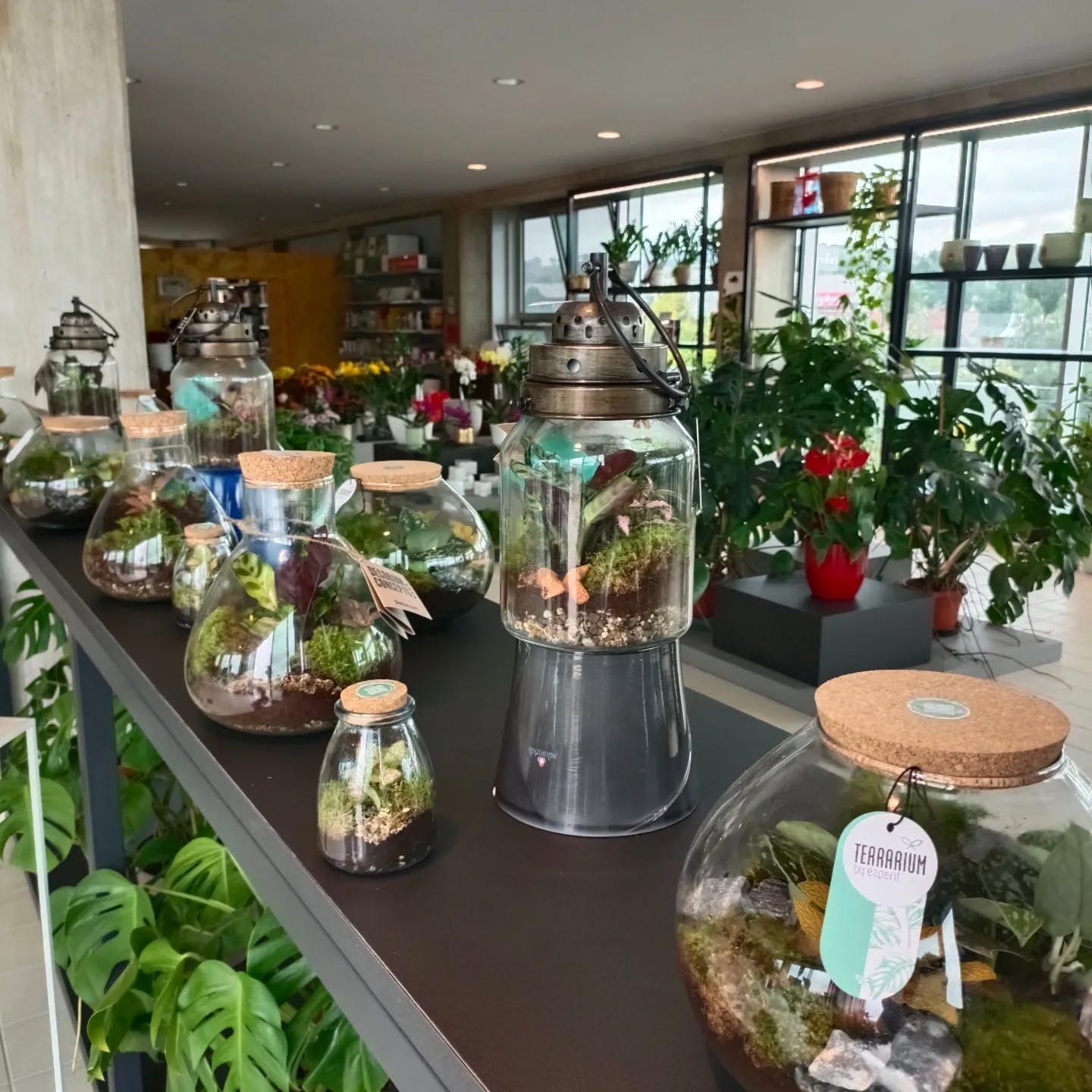 garden iobbi