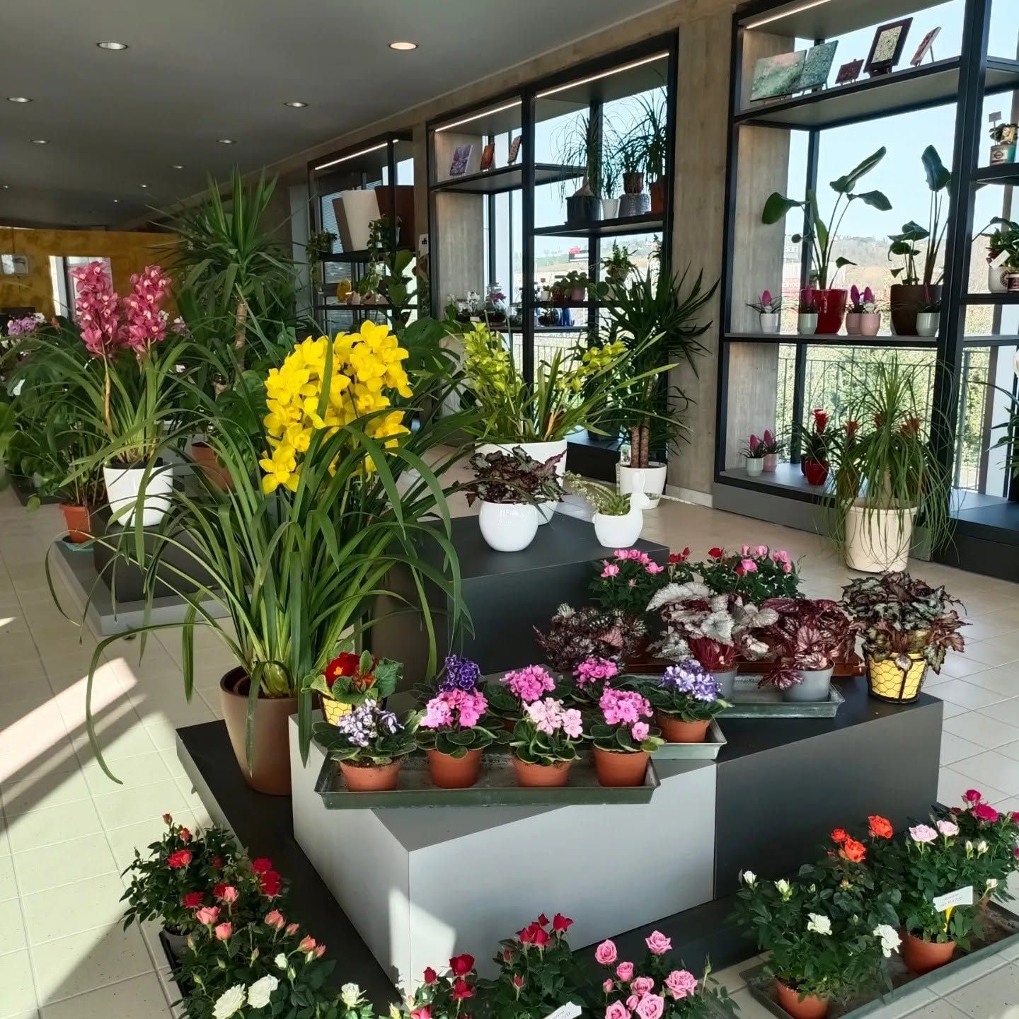 garden iobbi