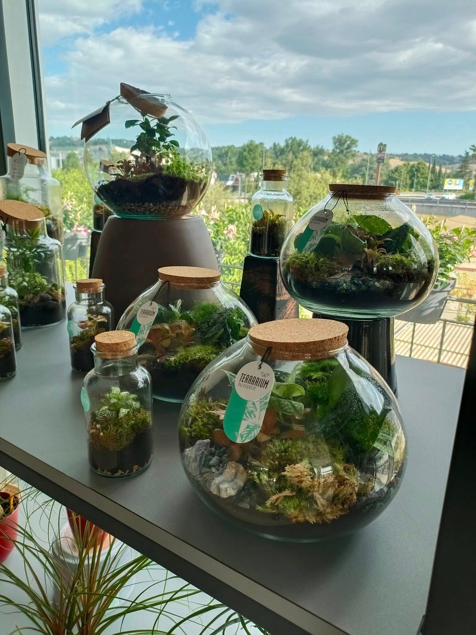 garden iobbi