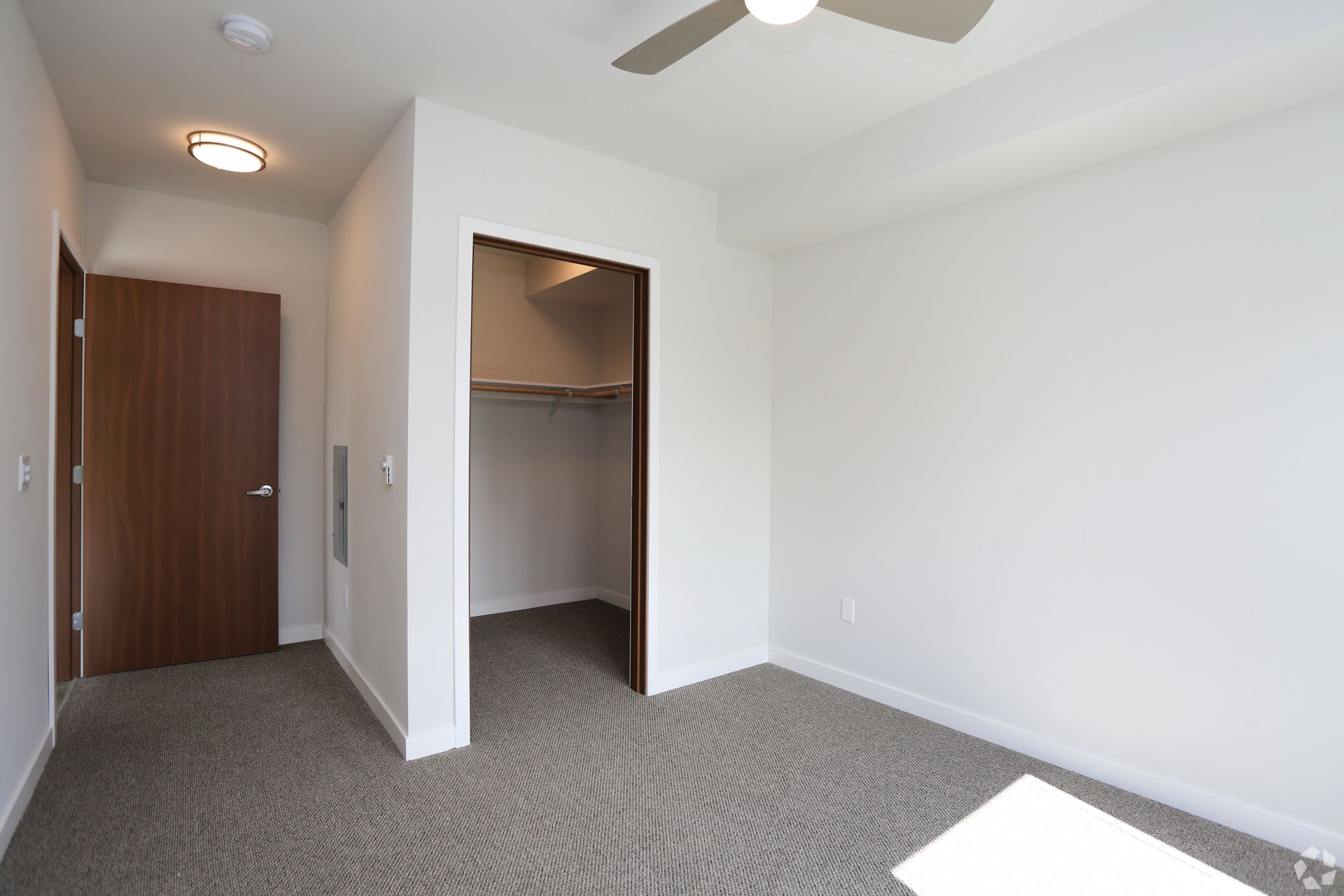 Empty bedroom with closet and doorway, carpeted floor, white walls, and a ceiling fan.