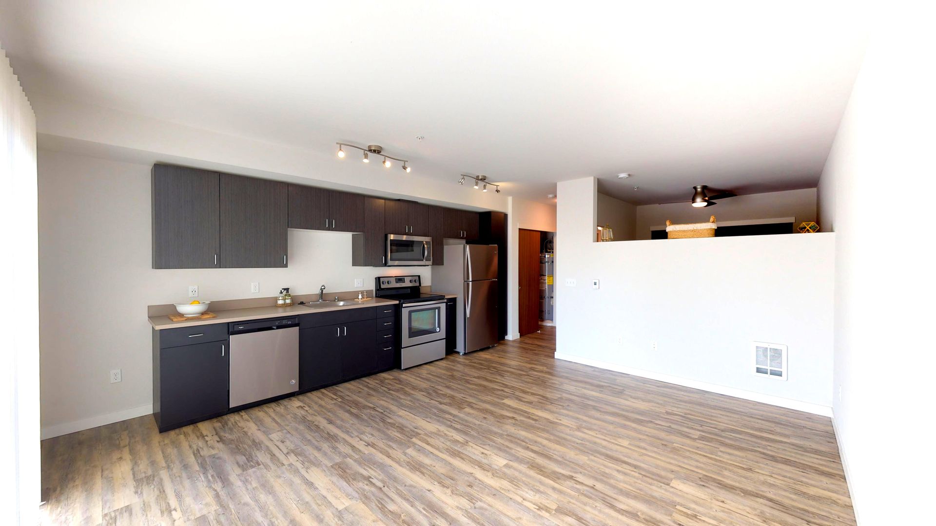 Modern kitchen with dark cabinets, stainless steel appliances, and wood-look flooring.