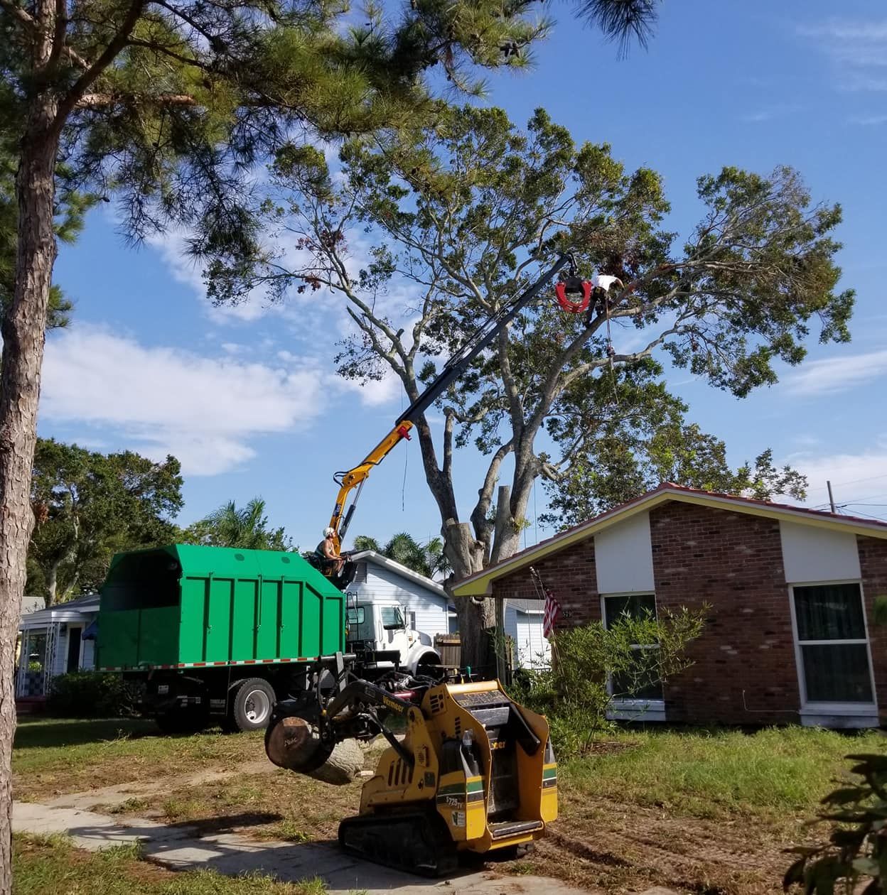 Arborist Sammamish