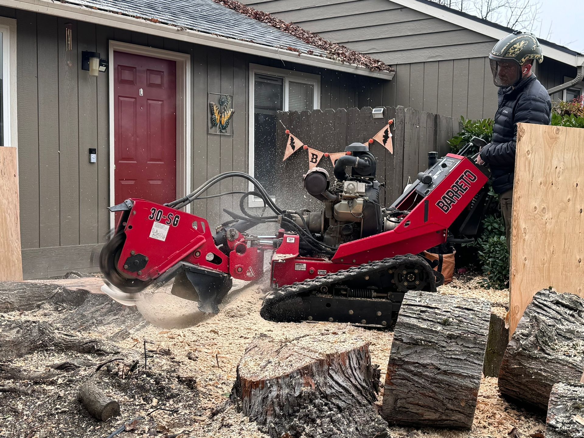 Stump Grinding Seattle