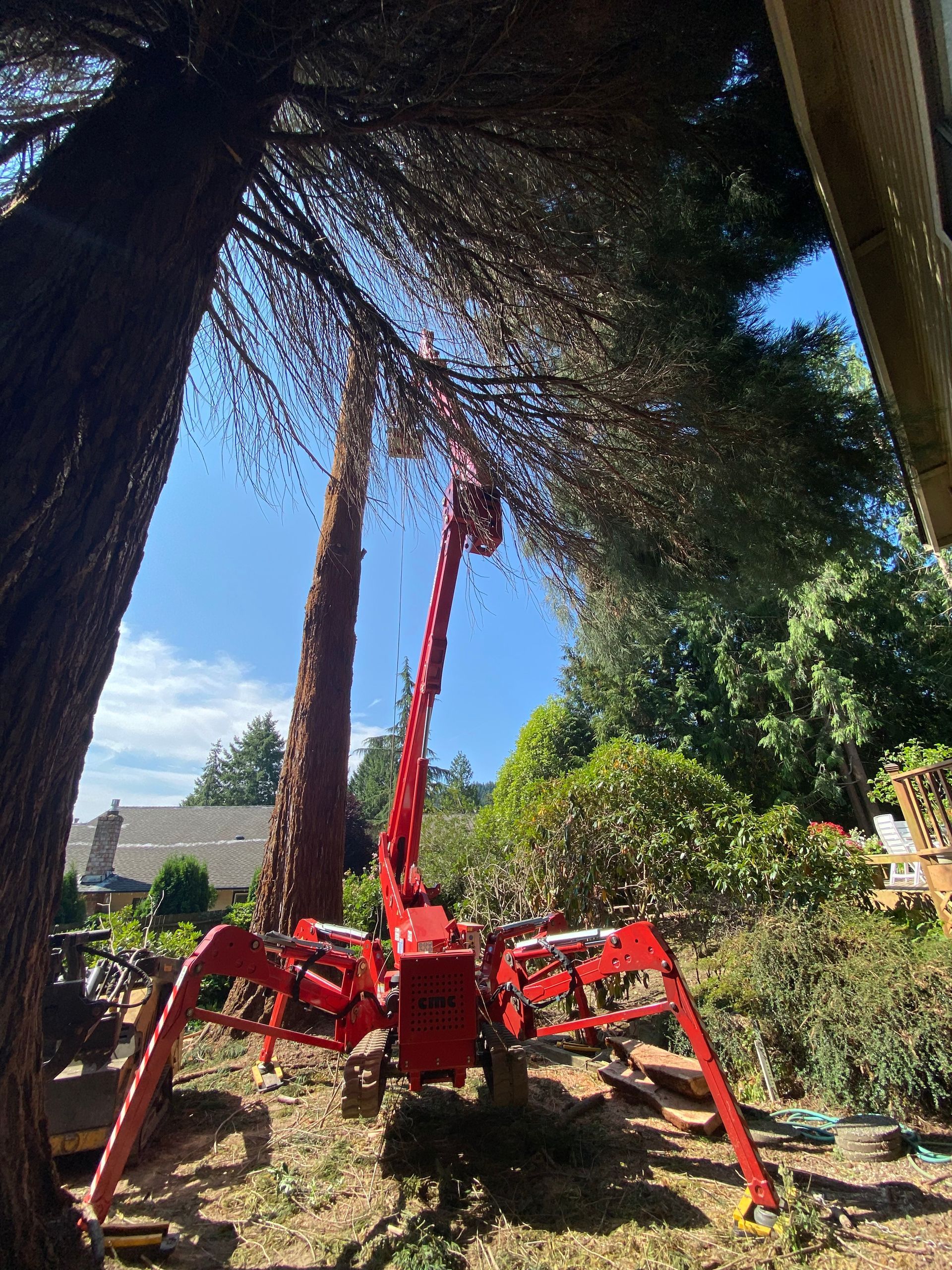 Arborist Mercer Island
