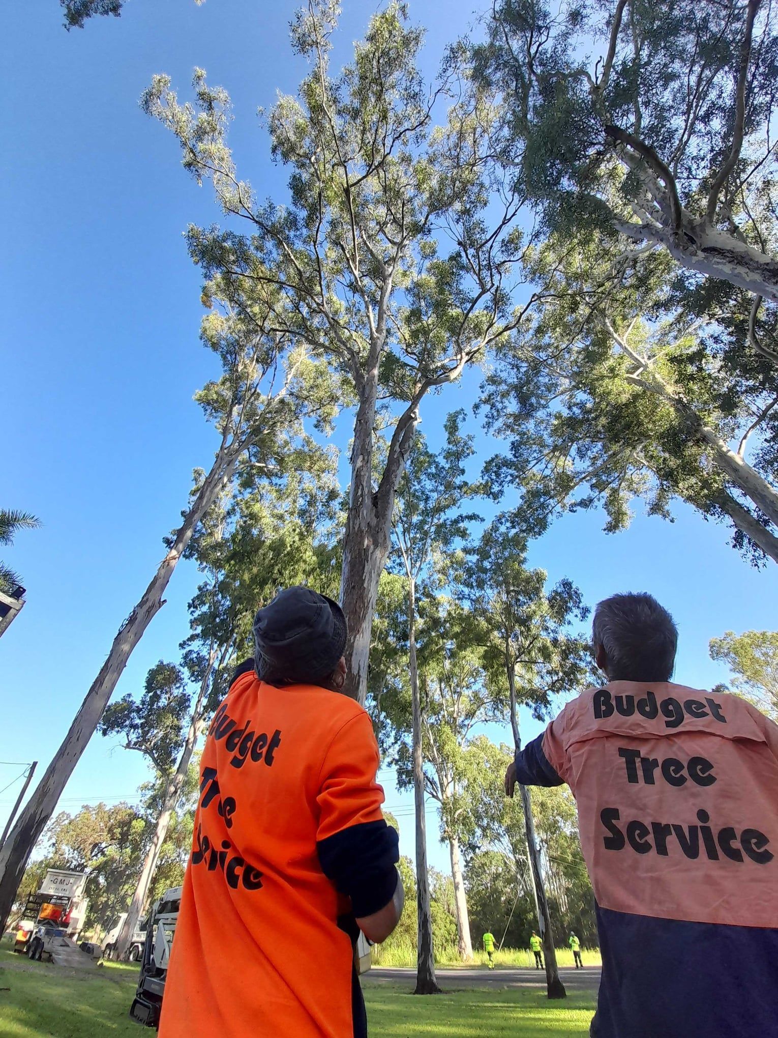 Two workers in orange shirts standing beside a elevated working platform under a tree in a grassy area.