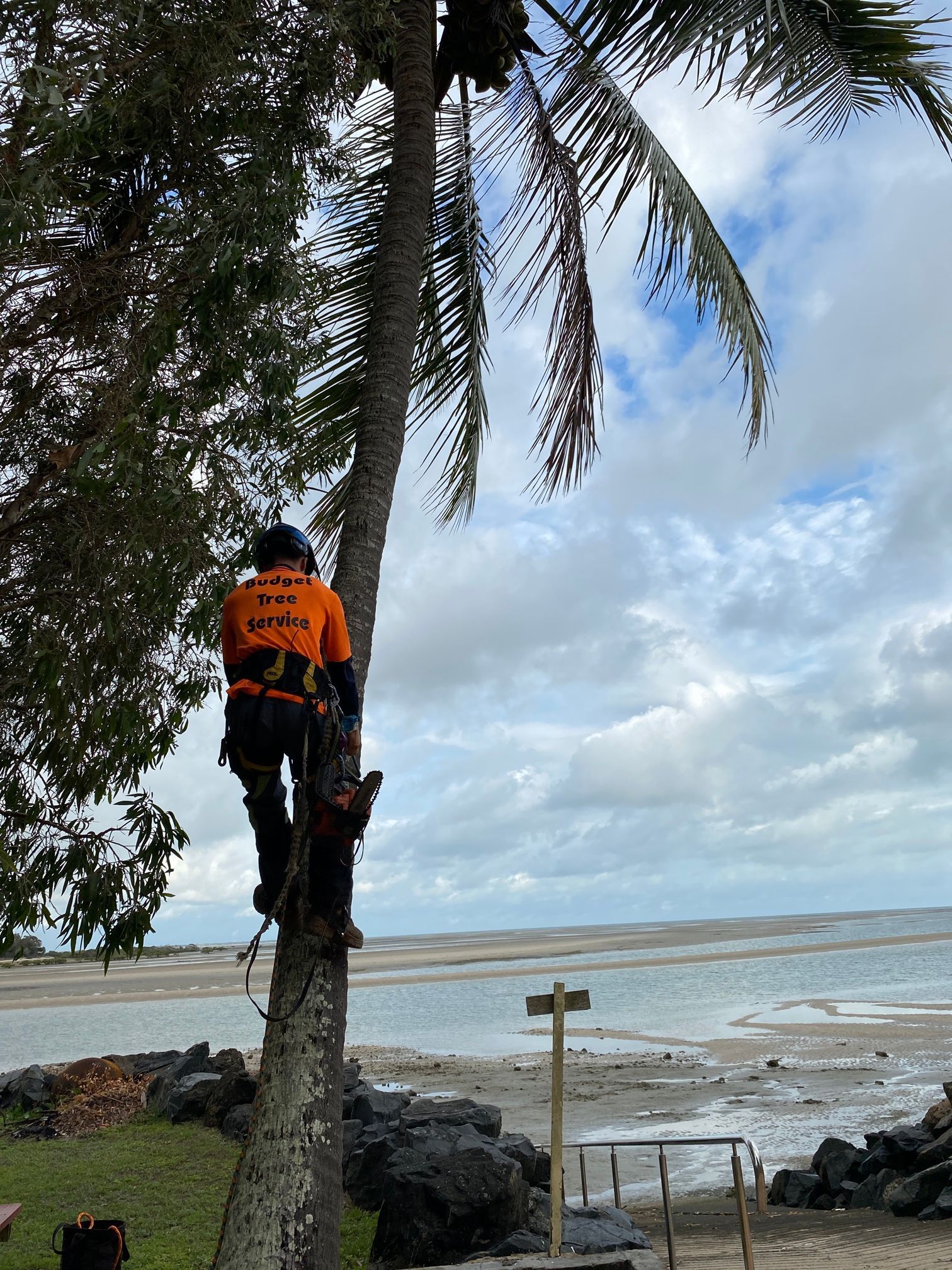 Two workers in orange shirts standing beside a elevated working platform under a tree in a grassy area.