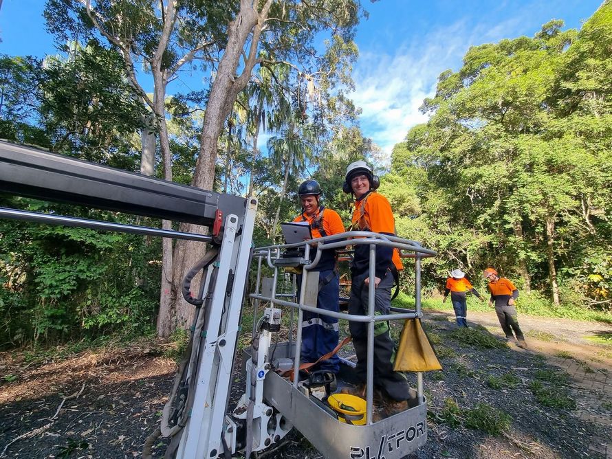 Workers in orange safety gear in a cherry picker cutting a tree branch outdoors