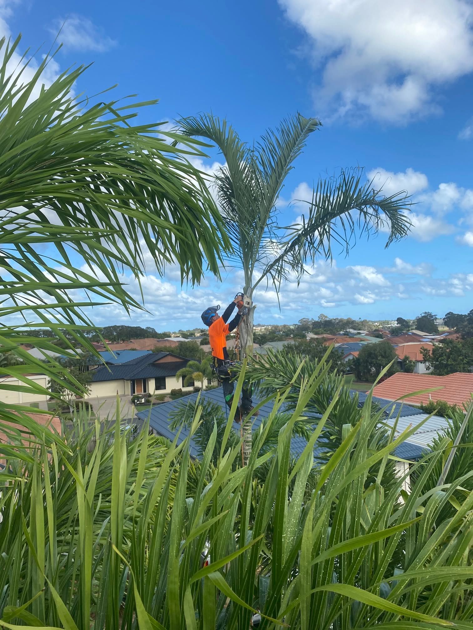 Workers in orange safety gear in a cherry picker cutting a tree branch outdoors