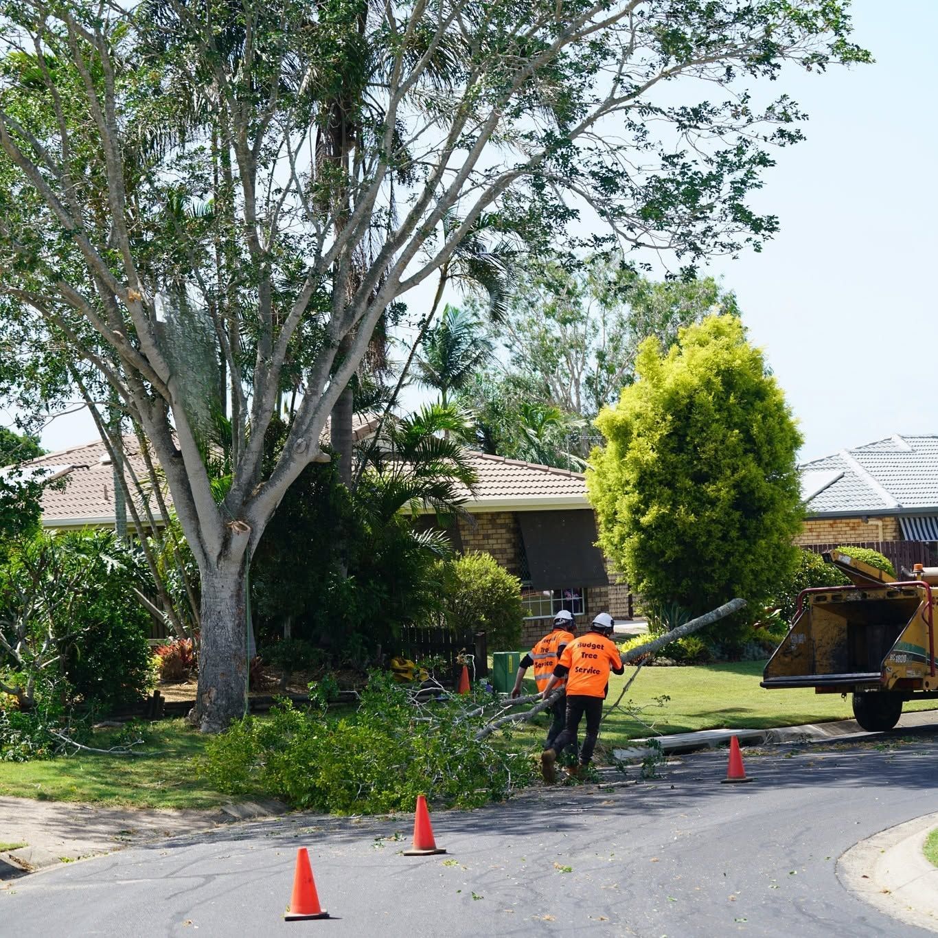 Workers in orange vests trim trees by a suburban street beside a truck and traffic cones