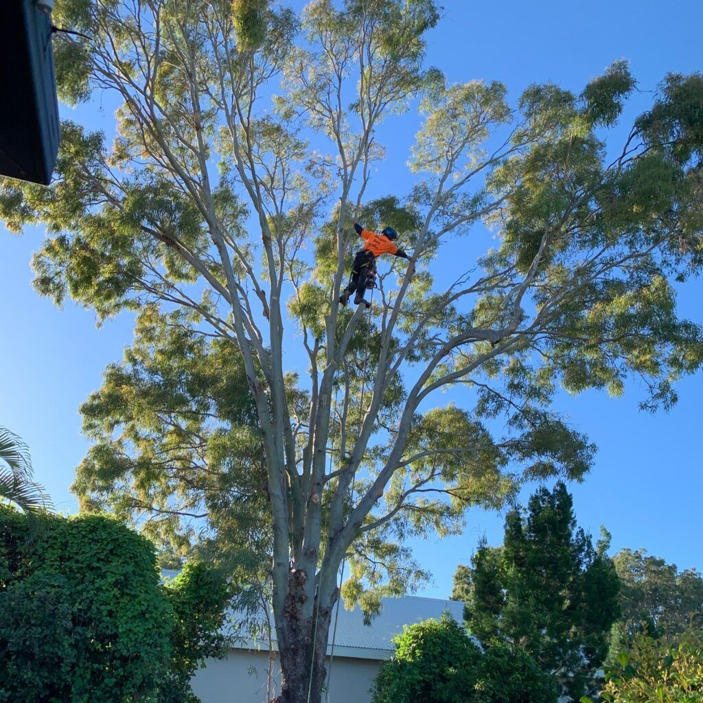Workers in orange safety gear in a cherry picker cutting a tree branch outdoors