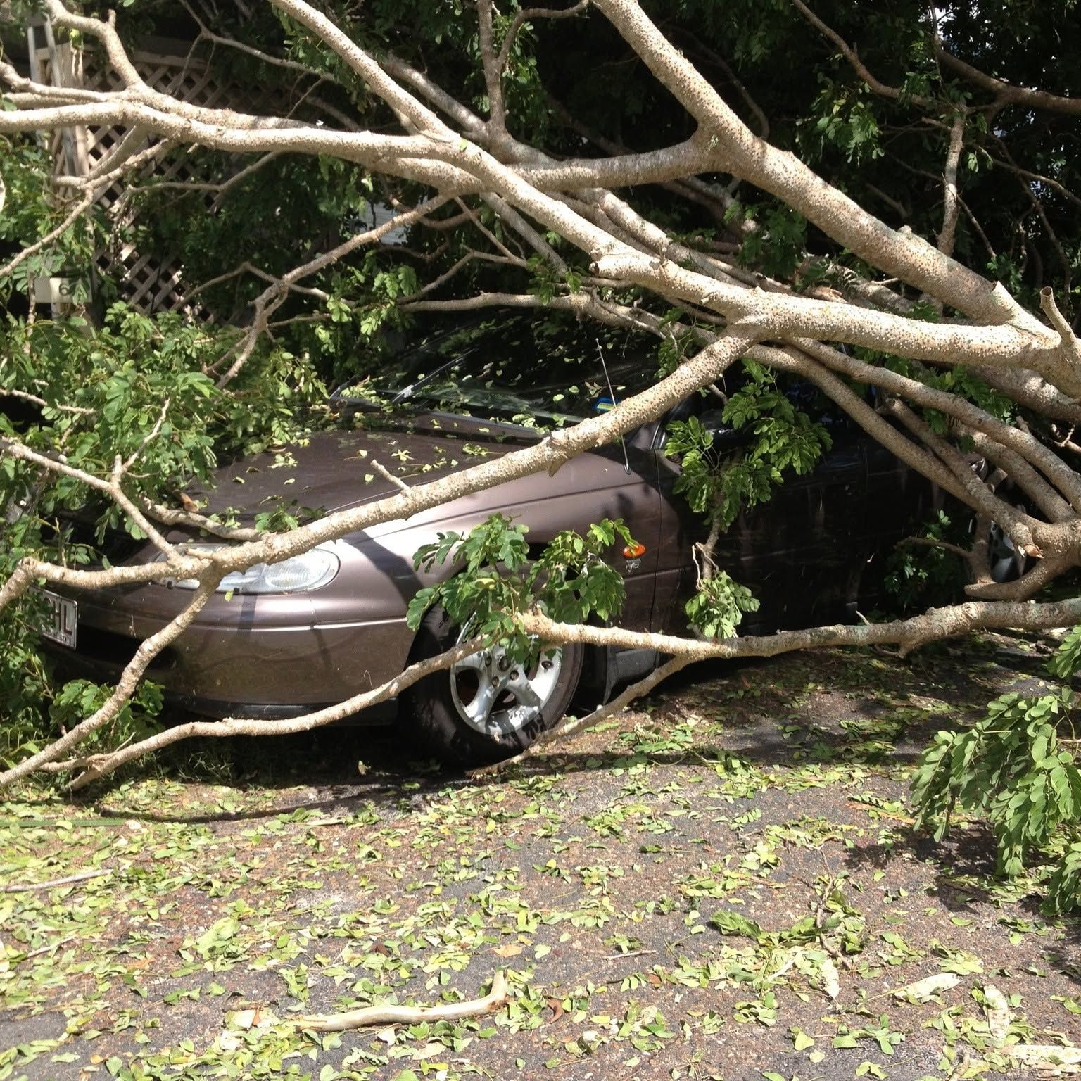 Brown car trapped under fallen tree branches on a muddy driveway after a storm