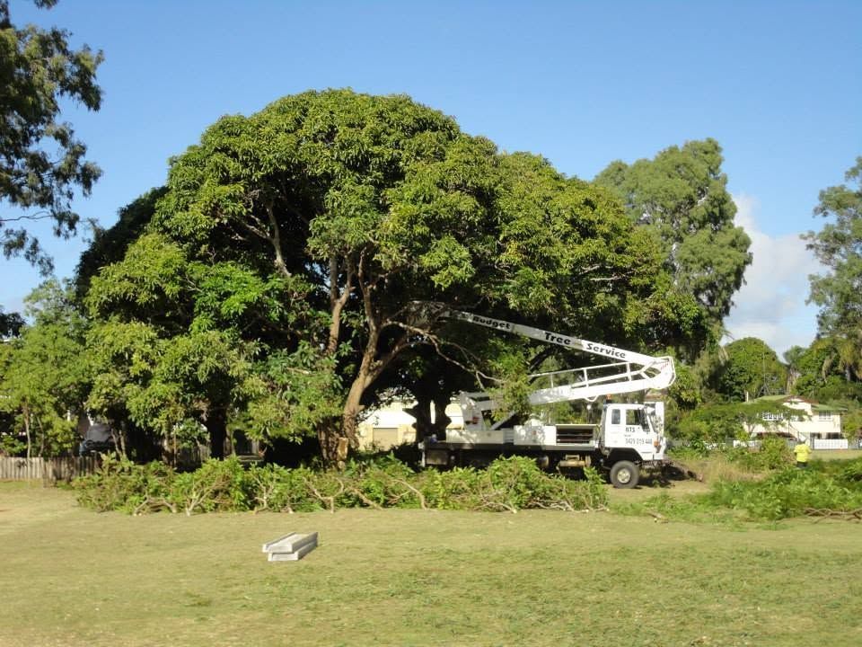 Workers in orange safety gear in a cherry picker cutting a tree branch outdoors