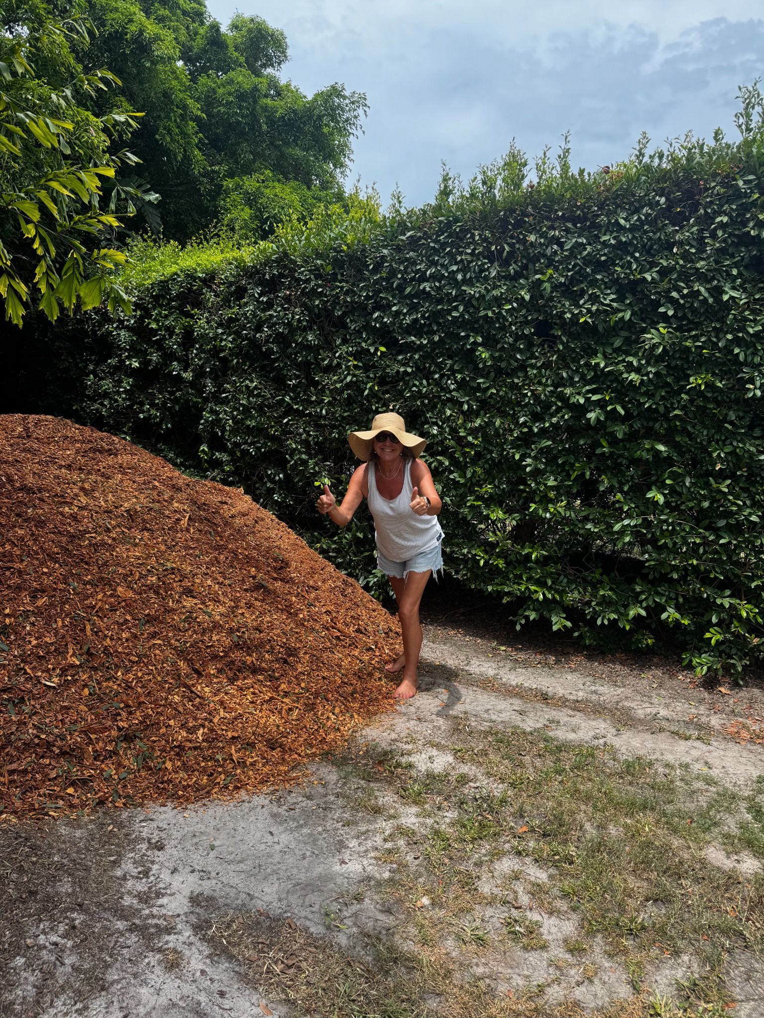 Person in a straw hat stands beside a large pile of mulch on a gravel path by a hedge.