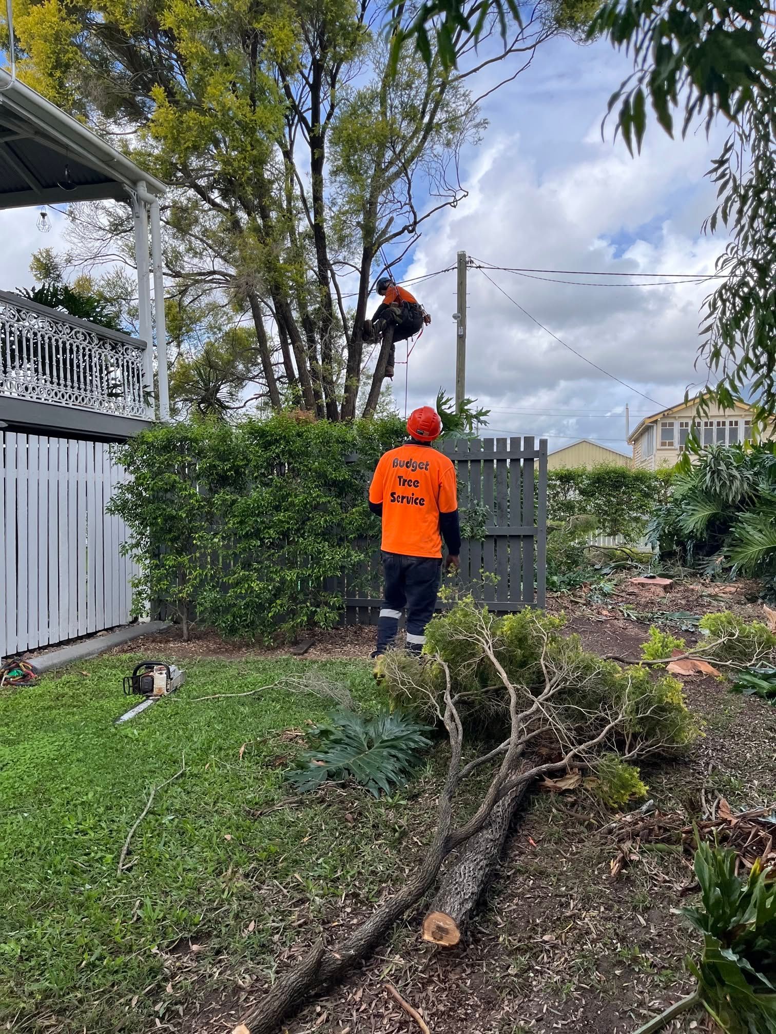 Workers in orange safety gear in a cherry picker cutting a tree branch outdoors