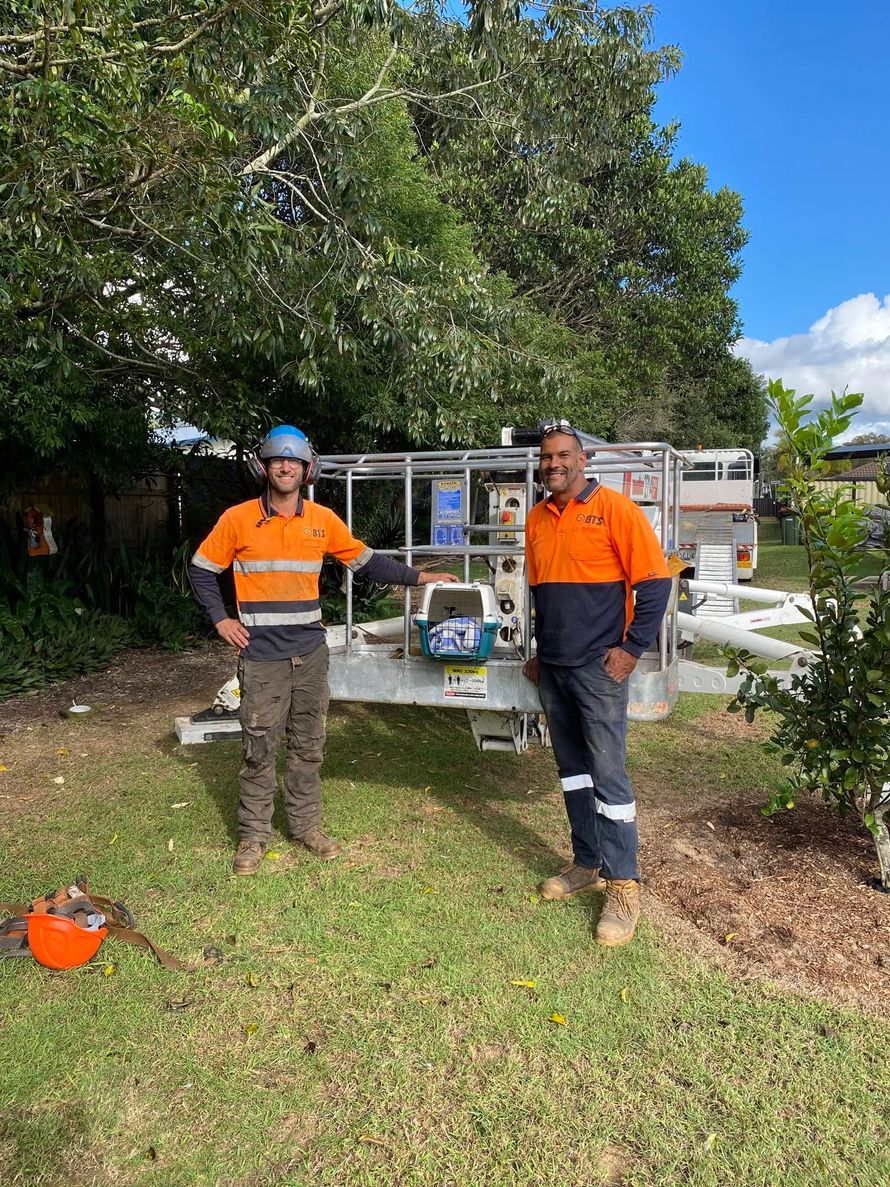 Two workers in orange shirts standing beside a elevated working platform under a tree in a grassy area.