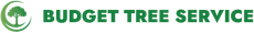 Budget Tree Service green logo with tree icon and bold text