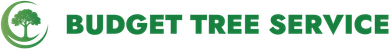 Budget Tree Service green logo with tree icon and bold text