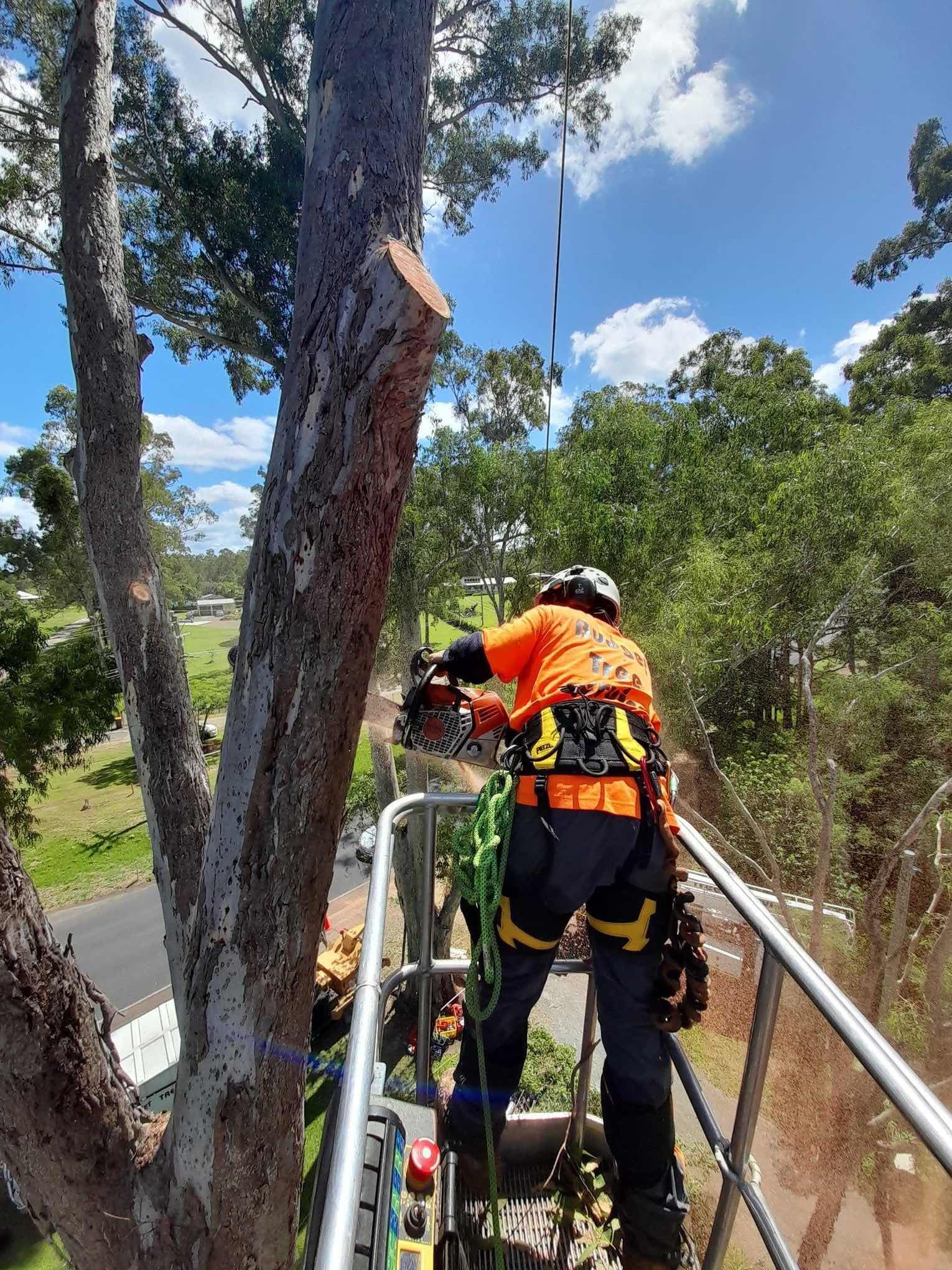 Workers in orange safety gear in a cherry picker cutting a tree branch outdoors