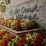 Apartments entrance sign