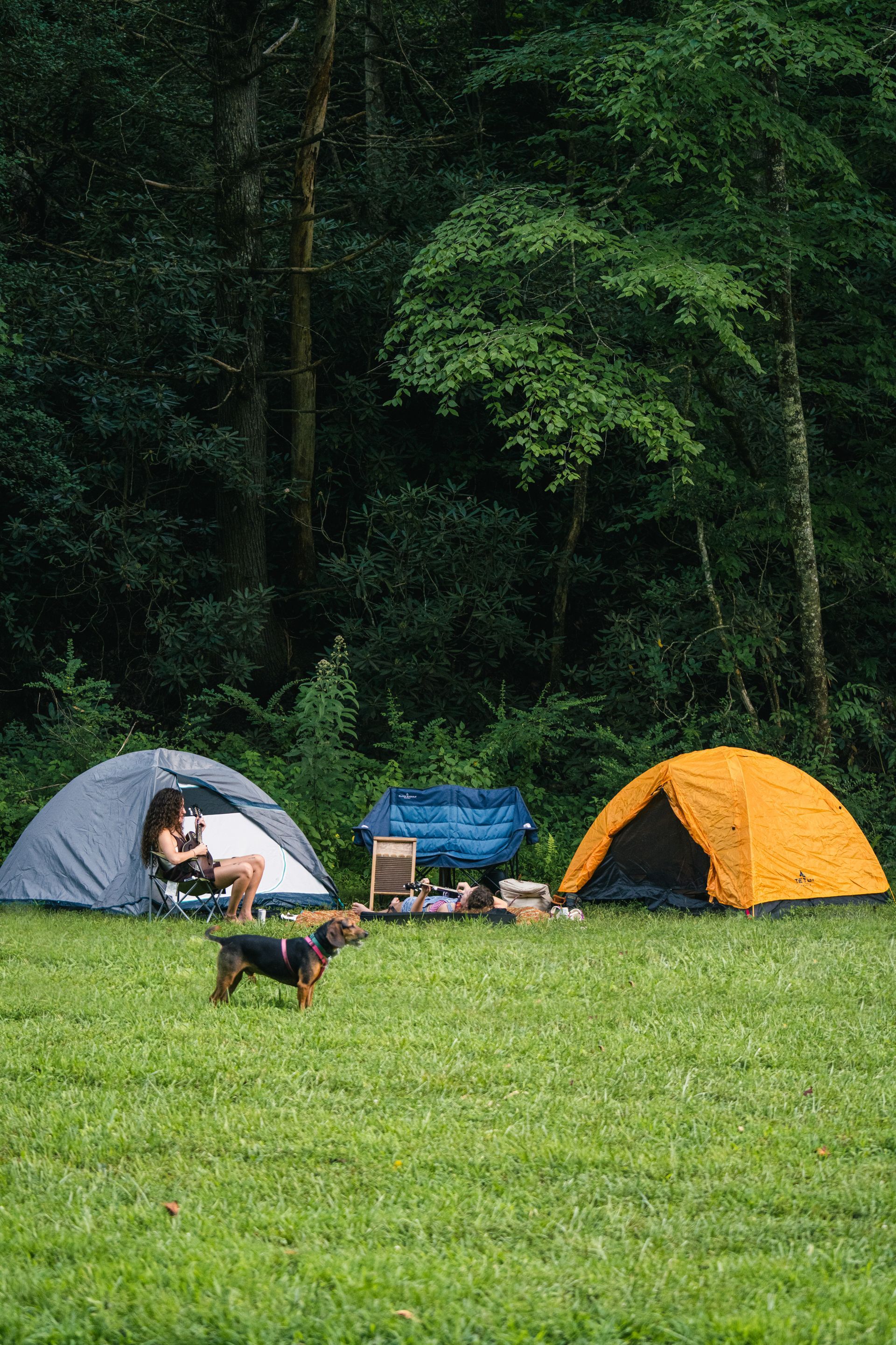 Two tents sit next to woods with people nearby.