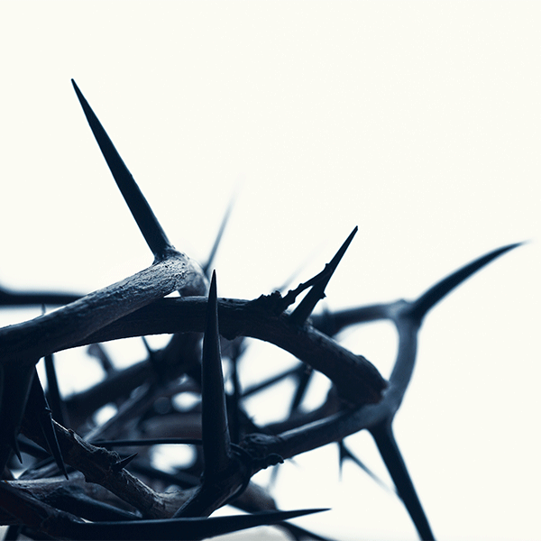 A crown of sharp, dark thorns set against a stark white background.