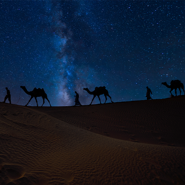 A caravan of camels and figures silhouetted against a starry night sky in the desert.
