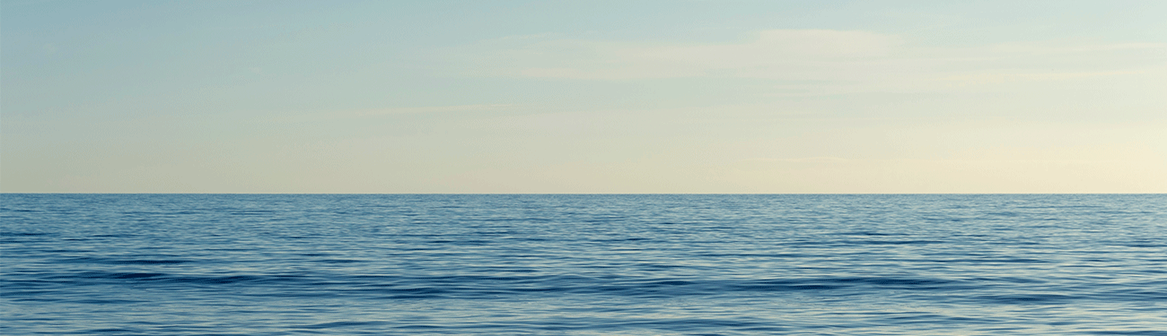 Ocean water under a clear, pale sky. Calm, blue water meets a soft horizon.