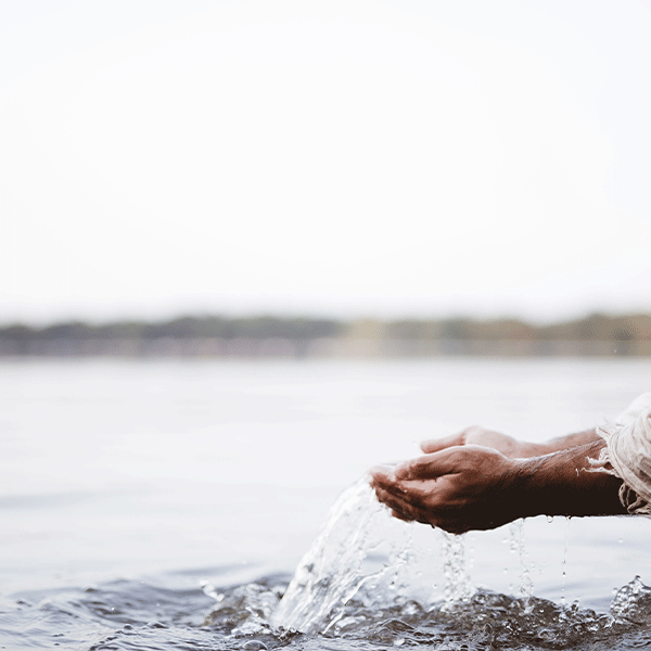 Hands cupping water, releasing it back into the lake.