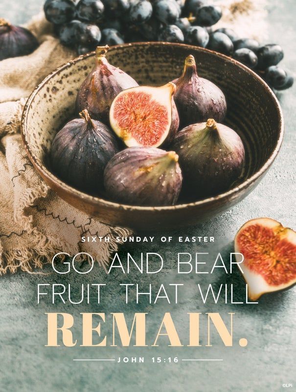A bulletin cover for of a bowl of figs and grapes with a quote from John 15:16.