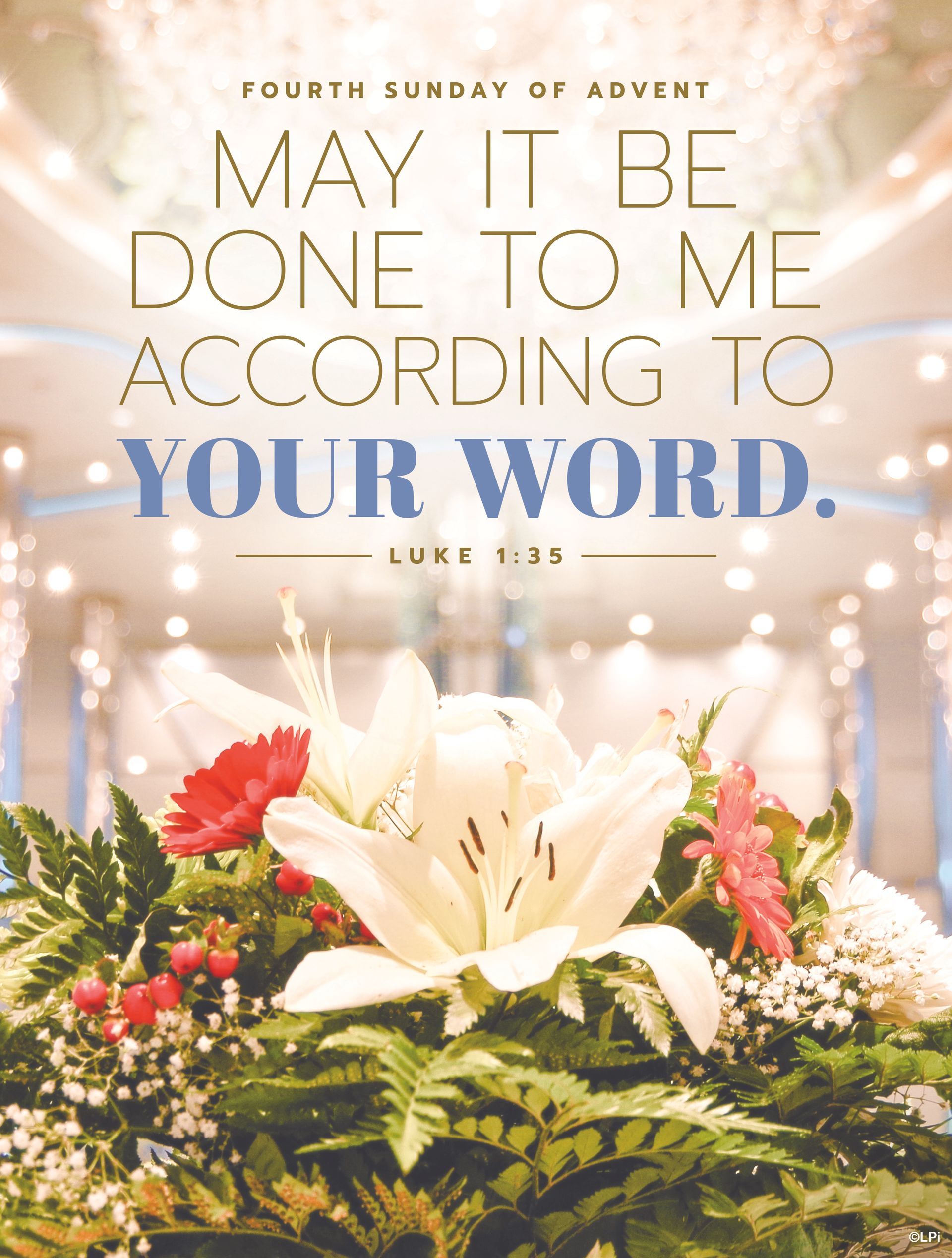 A photo with flowers and twinkly lights with the words May it be done to me according to your word.