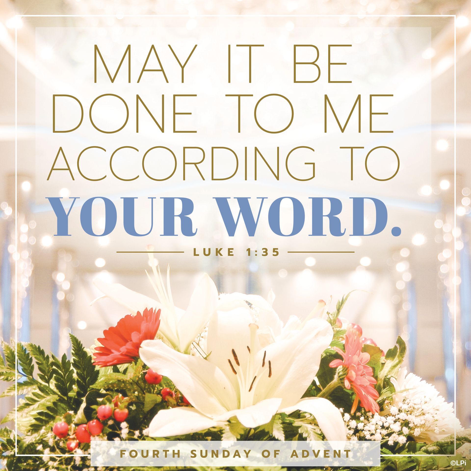 A photo with flowers and twinkly lights with the words May it be done to me according to your word.