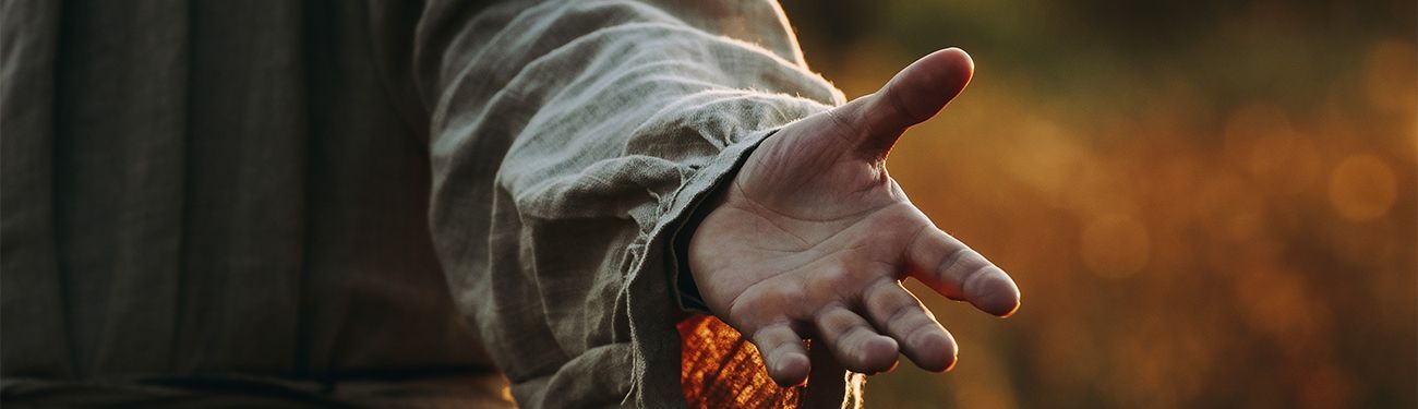 Outstretched hand in a white sleeve reaching into a warm, blurred field at sunset. 