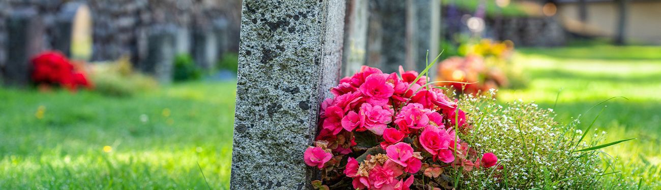 Pink flowers and green grass surround a grave at a cemetery.