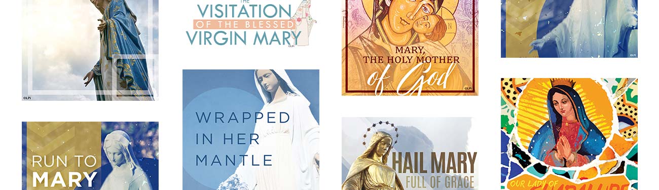 A collage of images of virgin Mary.