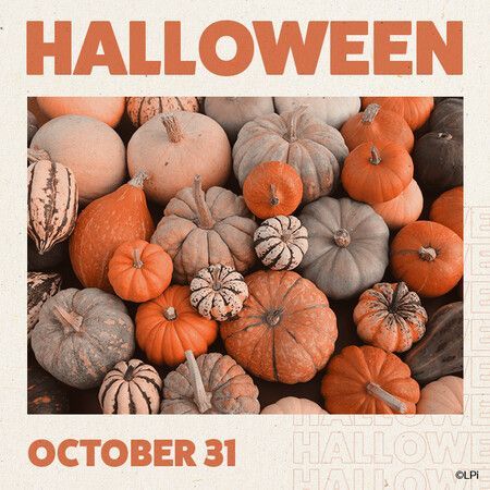 A bunch of pumpkins and gourds are sitting on top of each other on a table.