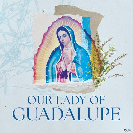 A poster for Our Lady of Guadalupe with a picture of the virgin Mary.