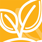A white plant with two leaves on a yellow background.