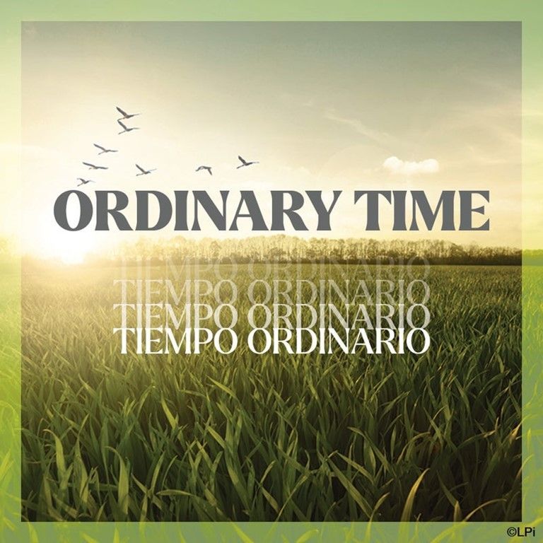 A poster that says ordinary time on it with a grassy field and birds in the background.