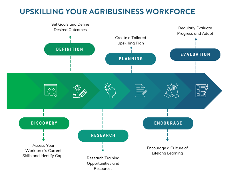 Infographic: Upskilling agribusiness workforce.