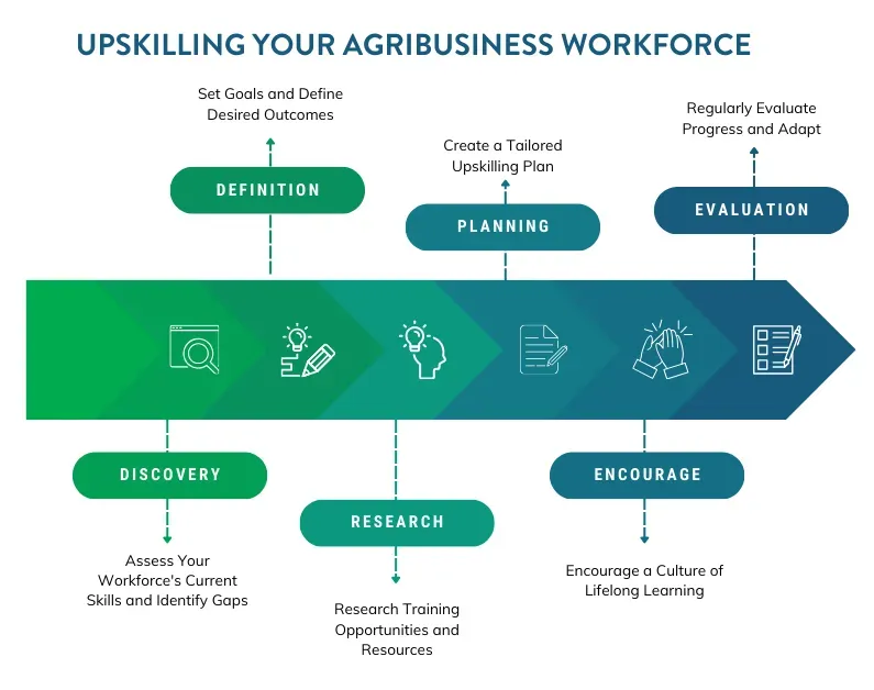 Upskilling agribusiness workforce process flowchart. Green and blue color scheme.